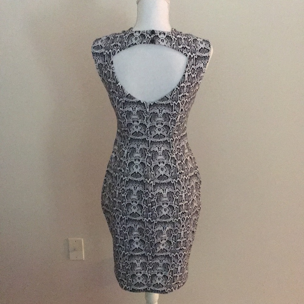 Cache’ Snakeskin Sprint Sheath Dress - image 3